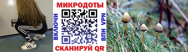 Купить где  Белокуриха  Галлюциногенные грибы GOLDEN TEACHER 